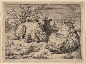 2 つの横たわる羊 作： Adriaen van de Velde
