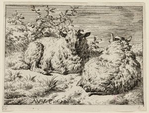 二匹の羊 作： Adriaen van de Velde