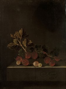 石の台座にグーズベリーの小枝、1699 作： Adrian Coorte