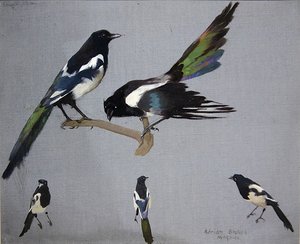 カササギ（油彩・キャンバス） 作： Adrian Scott Stokes