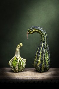  作： 