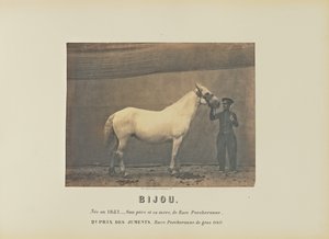 ビジュー 作： Adrien Alban Tournachon