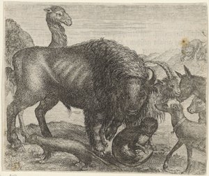 バイソンと他の動物の寓話