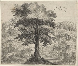 ニレとオークの寓話 作： Egidius  Sadeler (II)