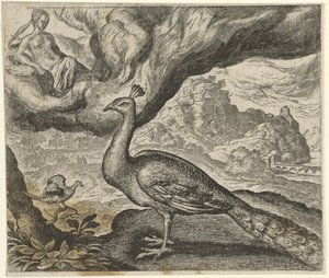 孔雀とナイチンゲールの寓話 作： Egidius  Sadeler (II)