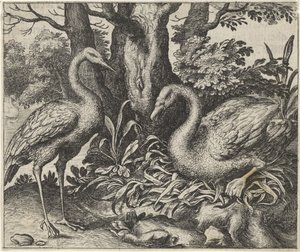 白鳥とコウノトリの寓話