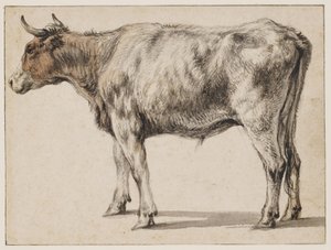  作： Aelbert Cuyp