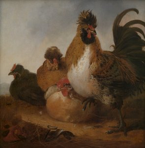  作： Aelbert Cuyp
