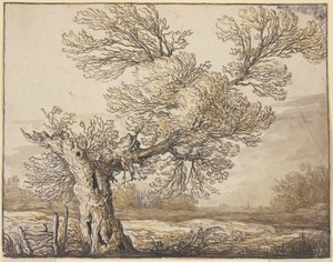  作： Aelbert Cuyp