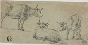 牛の3つのスケッチ 作： Aelbert Cuyp