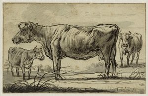  作： Aelbert Cuyp