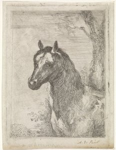 馬の頭 作： Aert Schouman (signed by artist)