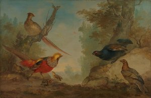 キジ 作： Aert Schouman