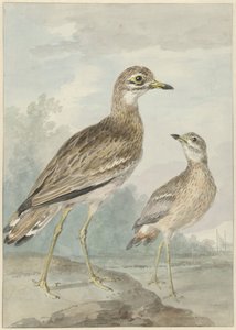 二つの悲鳴 作： Aert Schouman