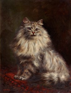 ペルシャ猫、c.1908-20 作： Agnes Augusta Talboys