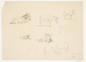 動物との学習シート。 作： Agnes Lunn
