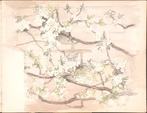 スケッチブック。 1899年7月 - 1901年6月 作： Agnes Slott Møller