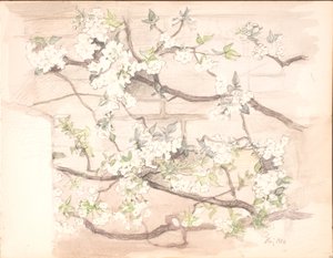 リンゴの花 作： Agnes Slott Møller