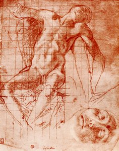 研究、1913。 作： Agnolo Bronzino