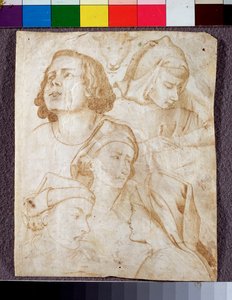 ヘッド（図面 作： Agnolo Gaddi