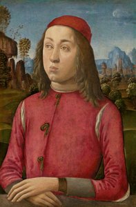 若者の肖像、c。 14951500 作： Agnolo di Domenico di Donnino