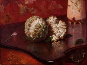 Sweetsop 作： Agostinhoda Motta