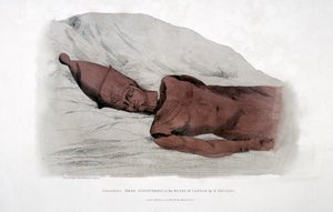 1820年にGベルゾーニによってカルナックの廃墟で発見された巨大な頭 作： Agostino Aglio