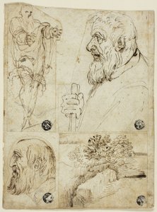 つのスケッチ：男性立像、髭男の横顔胸像、髭男の横顔頭部、風景 作： Agostino Carracci