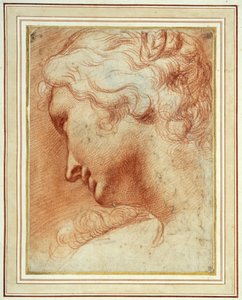 右肩を見下ろす若い女性の頭部（紙に赤チョーク 作： Agostino Carracci