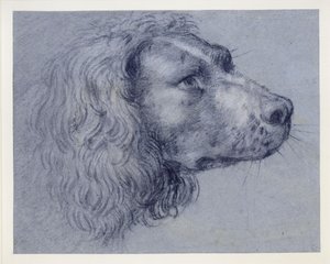  作： Agostino Carracci