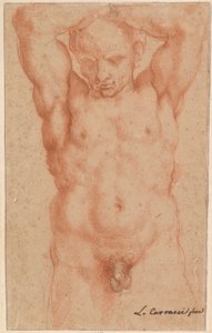 男性ヌード 作： Agostino Carracci
