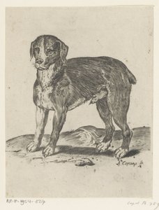立ち犬 作： Agostino Carracci