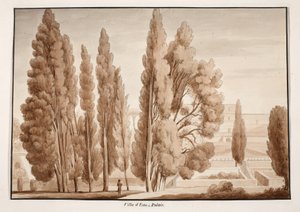 ヴィラデステ、1833年（茶色のウォッシュでエッチング） 作： Agostino Tofanelli