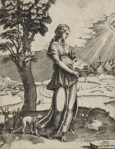 Cumaean Sybil、1516（敷設紙に彫刻） 作： Agostino Veneziano