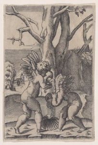 2 つのキューピッド、約。 1519年。 作： Agostino Veneziano