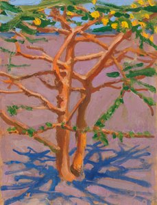  作： Akseli Valdemar Gallen-Kallela