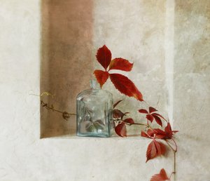 穏やかな秋のひととき 作： 