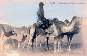 セレレ、サヘル、セネガル、20 世紀 作： Albaret