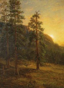 カリフォルニア・レッドウッド 作： アルバートビアシュタット