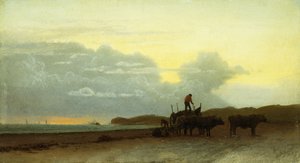 沿岸ビュー、ニューポート、1861 作： Albert Bierstadt