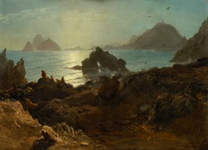 カリフォルニア州、太平洋、ファラロン諸島 作： アルバートビアシュタット