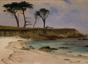 シーコーブ、c.1880-90（木の油） 作： Albert Bierstadt