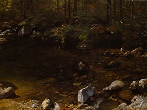 日陰のプール、ホワイト マウンテンズ、ニューハンプシャー州、c. 1869年。 作： Albert Bierstadt