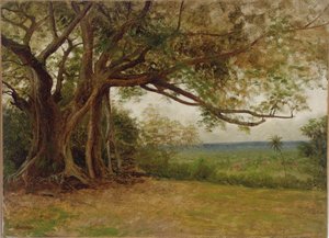 「コロンブスの着陸」のための研究、1892 作： Albert Bierstadt