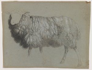 羊の研究、1855年頃（灰緑色の紙に黒鉛、クレヨン、チョーク） 作： Albert Bierstadt