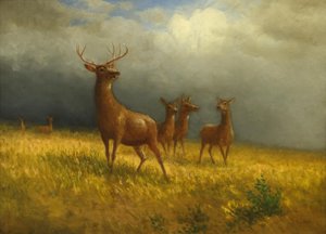 アルバート・ビアシュタット作「3頭の鹿と1頭の鹿」1885年頃 作： アルバートビアシュタット