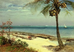不明な画像 作： Albert Bierstadt