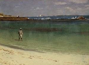 西インド諸島の海岸風景 1880-93年頃（油彩、紙、ファイバーボード） 作： アルバートビアシュタット