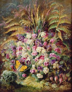 ベルヘザー、1877年 作： Albert Durer Lucas