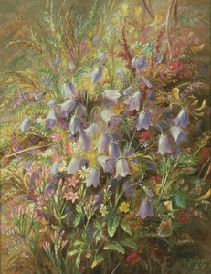 Harebellsと他の森林の花と草